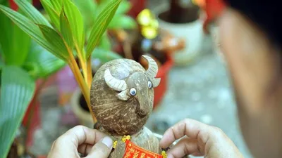 Chiêm ngưỡng bonsai hình trâu độc lạ năm Tân Sửu