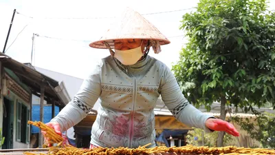 Làng nhang Lê Minh Xuân rực rỡ sắc màu, tất bật vào vụ Tết