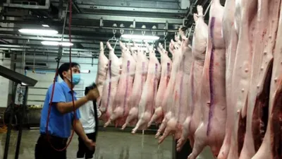 Đồng Nai muốn bán thịt heo giá 40.000 đồng ở TP.HCM
