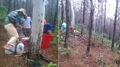 Cựu chủ tịch và phó chủ tịch xã bị bắt vì ăn chặn tiền