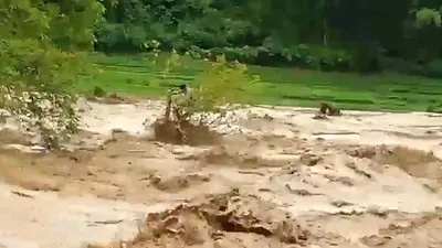 200 hộ dân Sa Ná bị cô lập, 12 người trong bản vẫn mất tích