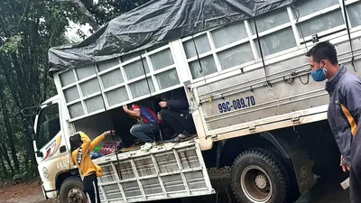 Xe tải chở 15 người có cả trẻ em vượt chốt khai báo y tế