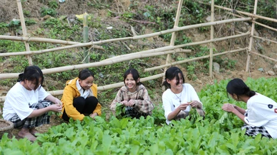 Có một ngôi trường ở biên giới trồng rau gây quỹ lớp giúp bạn khó