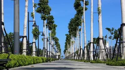 Thanh Hóa sắp có đại lộ ven biển đẹp nhất tỉnh 