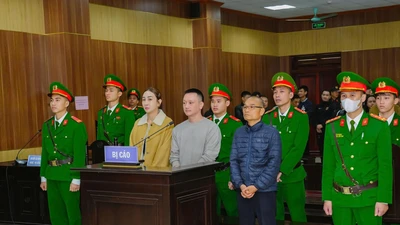 Thanh Hóa: Vợ chồng Vi 'ngộ' lãnh án vì trốn thuế