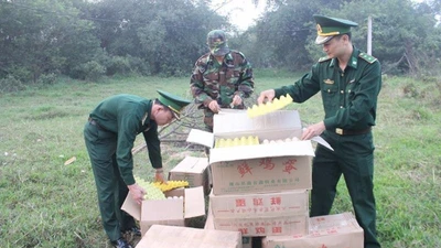 Tiêu hủy 15.000 trứng gà Trung Quốc 