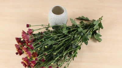 Mẹo Hay Dễ Làm: Mẹo triệt tiêu mùi hôi trong nhà 