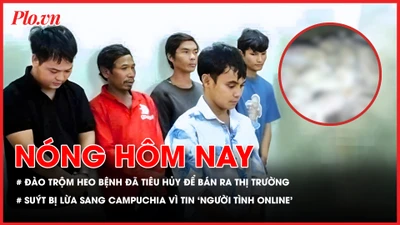 Nhóm người chuyên đào trộm heo bệnh đã tiêu hủy về sơ chế bán ra thị trường; Tin ‘người tình online’, thanh niên suýt bị lừa sang Campuchia 