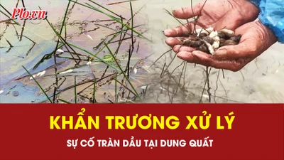 Khẩn trương xử lý sự cố tràn dầu tại Dung Quất