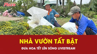 Nhà vườn tất bật đưa hoa tết lên sóng livestream