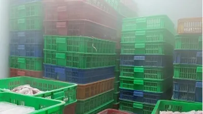 TP:HCM: Gần 5.600 kg thủy sản, thịt bẩn suýt lên bàn ăn 