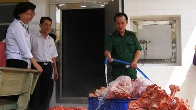 Tiêu hủy 840 kg thịt bò bơm nước
