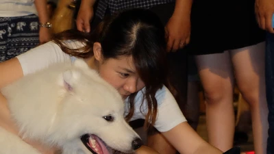 Giới trẻ Sài Gòn 'khoe' chó ở phố đi bộ Nguyễn Huệ