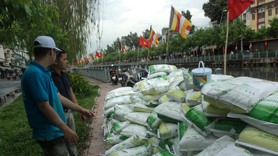 Rải 7 tấn hóa chất xử lý ô nhiễm kênh Nhiêu Lộc - Thị Nghè