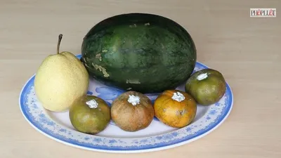 Ba bí quyết giữ trái cây tươi lâu trong ngày tết