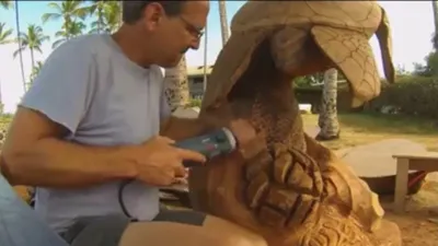 Đây là cách nghệ nhân tạo ra 1 con rùa gỗ