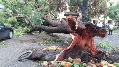 Bão gây thiệt hại khủng khiếp các tỉnh Bắc Trung bộ