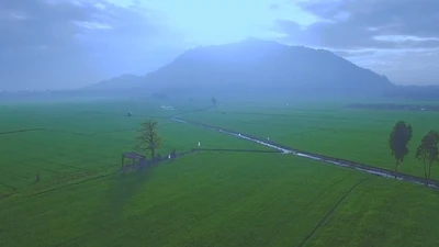 Việt Nam - Bản hòa tấu không trung