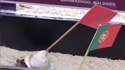 Xem Thánh Cua dự đoán trận thi đấu Marocco và Bồ Đào Nha