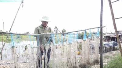 Người dân Long An ngóng chờ con nước nổi 