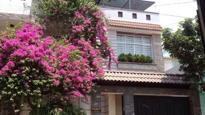 Nhà lẻ, nhà phố sôi động giao dịch cuối năm