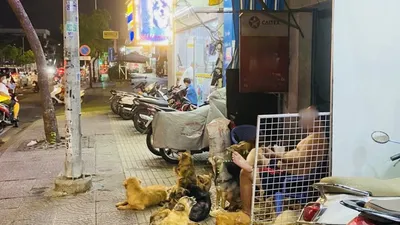 Nuôi nhiều chó gây ảnh hưởng hàng xóm, cần xử lý triệt để