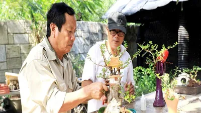 Gặp người sở hữu bộ sưu tập bonsai mini kỷ lục thế giới 