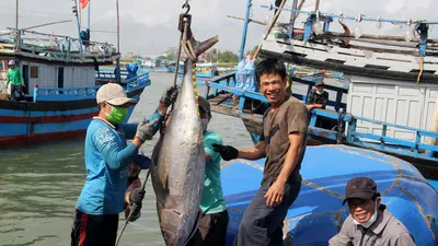 Ngư dân Phú Yên nâng cấp tàu, nâng cao chất lượng đánh bắt hải sản