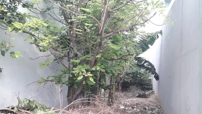 Điều tra bổ sung vụ chém người trộm vịt ở quận 12