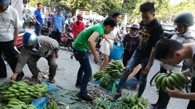 Sau Đồng Nai, người Sài Gòn ra tay cứu chuối Tây Ninh