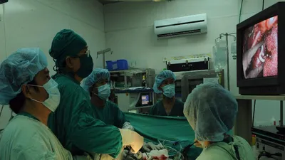 BV Chợ Rẫy lập 8 kỷ lục Việt Nam về ghép tạng 