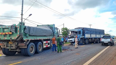 Chặn nguy cơ tai nạn thảm khốc từ tài xế xe tải, xe container 