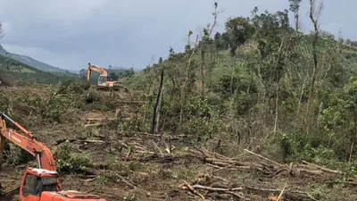 Khởi tố vụ phá rừng bằng máy múc ở Lâm Đồng