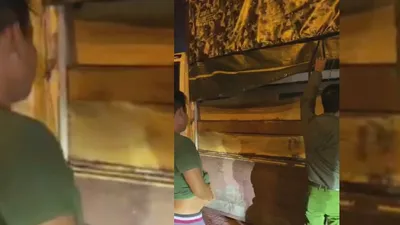 Tài xế không bằng lái chở gỗ ‘lậu’ vào TP.HCM