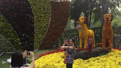 Khai Hội hoa Xuân Mậu Tuất 2018