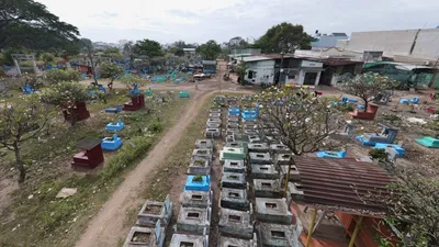Phó Chủ tịch TP.HCM chỉ đạo sớm điều chỉnh quy hoạch nghĩa trang Bình Hưng Hòa