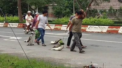 Dân kéo lê xác cá 'chặn' quốc lộ 51