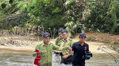 Sở NN&PTNT Bình Thuận lý giải việc chuyển hơn 600 ha rừng làm hồ thủy lợi