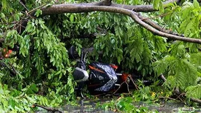 Cây xanh gãy nhánh, bật gốc hàng loạt, đè người đi đường