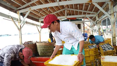 Cảng cá sông Đốc yên ắng trước giờ bão vào