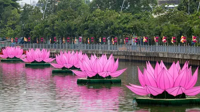 7 đóa sen khổng lồ 'mọc' trên kênh Nhiêu Lộc mừng Phật đản