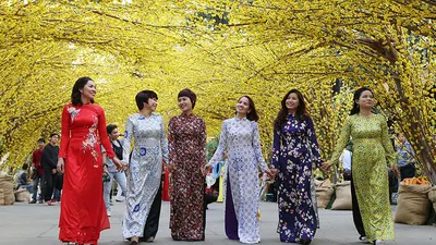 Lạc lối với đường mai vàng ở Nhà văn hóa Thanh niên 