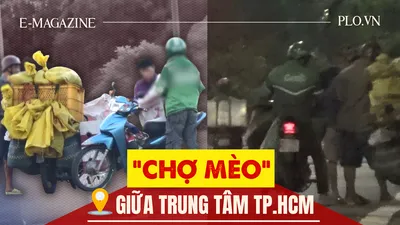 Thâm nhập đường dây 'mèo tặc' - Bài 2: Theo dấu những phi vụ mua - bán khó tin 