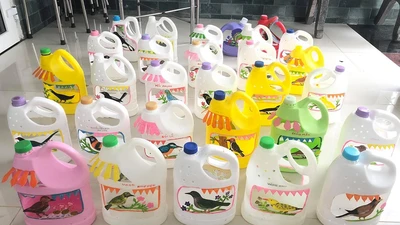 Mùa dịch, làm nhà siêu nhỏ, đem chim rừng cá biển vào can nhựa giết thời gian