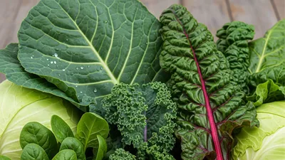 10 loại rau lá xanh quen thuộc nhưng cực kỳ tốt cho sức khỏe