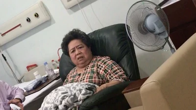 TAND TP.HCM sẽ xét xử bà Hứa Thị Phấn vào ngày 8-5 