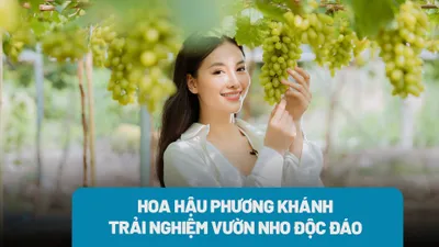 Trải nghiệm giống nho đặc biệt của tỉnh Ninh Thuận khiến Hoa hậu Trái đất Phương Khánh mê mẩn