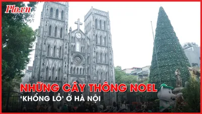 Video: Cận cảnh những cây thông noel 'khổng lồ' ở Hà Nội phục vụ dịp Giáng sinh 2023