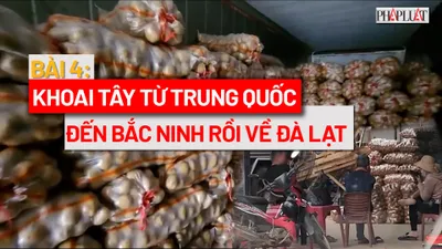 VIDEO ĐIỀU TRA - Bài 4: Khoai tây Trung Quốc đến Bắc Ninh rồi về Đà Lạt
