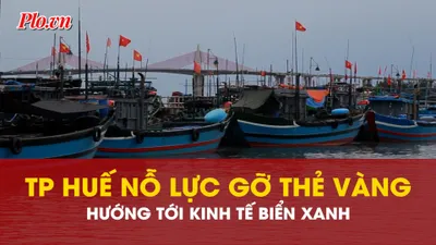 TP Huế nỗ lực gỡ thẻ vàng IUU, hướng tới kinh tế biển xanh